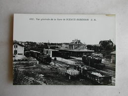 PHOTO Repro De CPA - Gare - La Gare De Sceaux Robinson - Trains