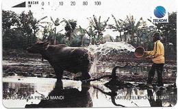 Indonesia - Telkom Indonesia (Tamura) - Washing Buffalo, 100Units, 100.000ex, Used - Indonesien