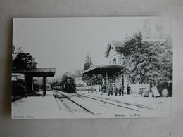 PHOTO Repro De CPA - Gare - La Gare De Bièvres - Treni