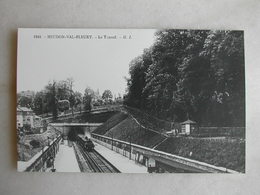 PHOTO Repro De CPA - Train - Meudon Val Fleury - Le Tunnel - Treni