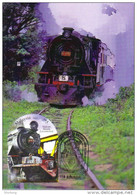30N: Train Railway Steam Locomotive(High Value MS Stamp),carte Maximum Card,MC,maxicard,karte Maksimum 1 (Sale Per Scan) - Treni