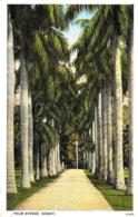 [DC12185] CPA - UNITED STATES - HAWAII - PALM AVENUE - PERFETTA - Viaggiata 1929 - Honolulu