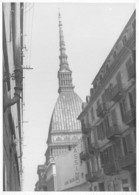 Italie - Piemonte - TURIN - Torino - Mole Antonellena - Magasin Massimo - Mole Antonelliana