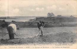 Séné           56       Le Passage De Montsarac. Travaux Des Champs Le Sarclage      (Voir Scan) - Autres & Non Classés