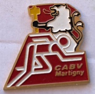 CABV MARTIGNY - CANTON DU VALAIS - SUISSE - WALLIS - SCHWEIZ - SWITZERLAND - COURSE - LION  -    (25) - Leichtathletik