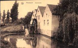 Maaseik Maeseyck - Boschmolen (vaste Prijs) - Maaseik