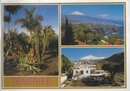 Delcampe - Isla De Tenerife - Multi Vues - Tenerife