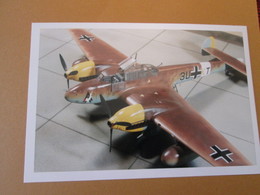 CAGI3 Format Carte Postale Env 15x10cm : SUPERBE (TIRAGE UNIQUE) PHOTO MAQUETTE PLASTIQUE 1/48e ME-110c AFRIKA KORPS - Airplanes