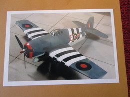 CAGI3 Format Carte Postale Env 15x10cm : SUPERBE (TIRAGE UNIQUE) PHOTO MAQUETTE PLASTIQUE 1/48 HELLCAT RNAS D-DAY - Avions