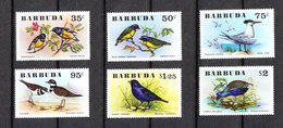 Barbuda  - 1976. Rara Serie Completa Di Passeri E Sterna Reale.Rare Complete Set Of Sparrows And Royal Tern. MNH - Moineaux