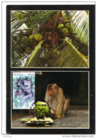 30D : Malaysia 2016 Year Of Monkey , Plucking Coconut Fruit And Drinking The Water, Carte Maximum Card,Maxicard,MC - Singes