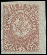 O Canada / Newfoundland - Lot No.269 - 1857-1861