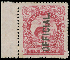 ** New Zealand - Lot No.826 - Officials