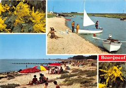 ¤¤  -  BOURGNEUF   -   Multivues  -  Plage, Etier Du Collet     -   ¤¤ - Bourgneuf-en-Retz