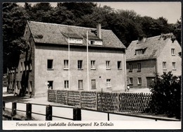 D5558 - Scheergrund Gaststätte Ferienheim - Döbeln - Foto Eulitz Radeburg - Doebeln