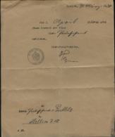 S5405 - Schein Post Ernennung Stettin: Gebraucht Stettin 1920 , Bedarfserhaltung , Gefaltet. - Lettere