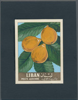 Thematik: Flora-Obst + Früchte / Flora-fruits: 1962, Libanon, Issue Fruit, Artist Drawing(100x134) M - Frutas