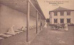 Piétrebais - Sanatorium Du Domaine De La Chise - Cure D'air - Animée - Circulé En 1932 - Incourt - TBE - Incourt