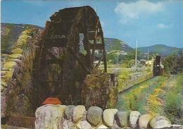 Delcampe - CPM   Ganges La Noria Vers La Plaine - Ganges