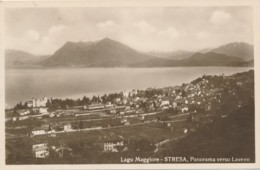2b.924.  Lago Maggiore - STRESA - Verbania - Panorama Verso Laveno - Andere Steden