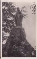 45 - MEZIERES LES CLERY - LOIRET - LA VIERGE DU MONT DES ELUS - Monumentos