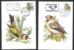OCB Nr 2189/90 Faune Buzin Pas De Tenderie Geen Vogelvangst Stempel Brasschaat - 1985-.. Birds (Buzin)