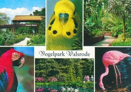 Vogelpark Walsrode (Bird Park), Germany - Entrancew, Budgerigar, Macaw, Flamingo, Pelican - Walsrode