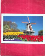 HOLLANDE - HOLLAND - Keukenhof - Lisse - Moulin Et Les Tulipes - NANT3 - - Lisse