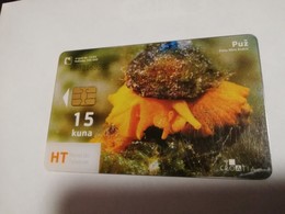 KROATIE FISH  15 KUNA  PUZ TRANSPARANT CARD SPECIAL  **1609** - Croatie