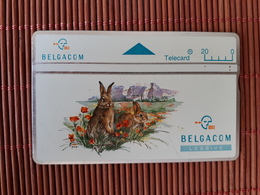 Rabit Phonecard Used - Rabbits