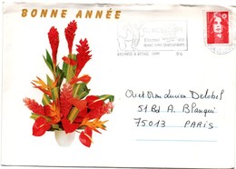 Pointe-à-Pitre Guadeloupe 1994 - Flamme Bananiers Banane - !!! Millésime En 2 Chiffres - Lettre Brief Cover - Covers & Documents