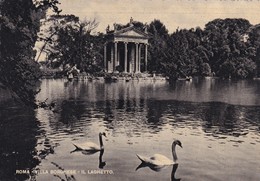 Italie, Roma, Villa Borghese, Il Laghetto - Parks & Gardens