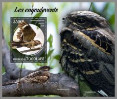 TOGO 2020 MNH Nightjars Nachtschwalben Engoulevents S/S - IMPERFORATED - DH2016 - Hirondelles