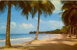 1966 PUERTO RICO - T.P.  CIRCULADA ,  LUQUILLO BEACH - Puerto Rico