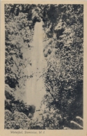 DOMINICA , T.P. NO CIRCULADA , WATERFALL , CASCADAS , FALLS - Dominica