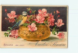 Le LANGAGE Des Fleurs - BEGONIA : Doux Langage - Carte Illustrateur - Oiseau - 2 Scans - Fleurs