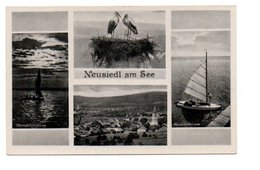 NEUSIEDL AM SEE. - Neusiedlerseeorte