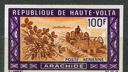 Rep. Hte Volta ** ND  PA 73 - Produits Agricoles - Opper-Volta (1958-1984)