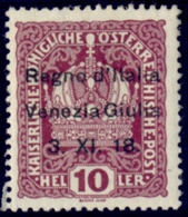 ITALY ITALIA VENEZIA GIULIA 1918 10 H. (Sass. 4) NUOVO LINGUELLATO * - Venezia Giuliana