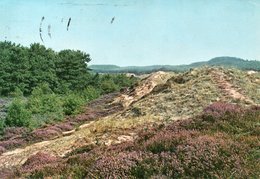 GROETEN VAN HET EILAND VLIELAND - Vlieland