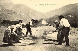 CORSE - LE BATTAGE DU BLE - Agriculteurs De La Région De CORTE -- Etat Excellent - Andere & Zonder Classificatie