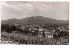 Delcampe - MÜLLHEIM. - Müllheim