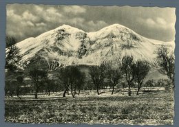 °°° Cartolina - Avezzano Veduta Del Monte Velino Viaggiata  °°° - Avezzano