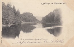 SAINT-NABORD (environs De Remiremont): Etang De La Huchère - Saint Nabord