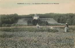 94 - Val De Marne - 10230 - NOISEAU - Château D'Ormesson - Noiseau