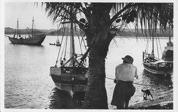 MAYOTTE DZAOUDZI LE PORT Très Belle Carte - Mayotte