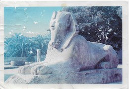 Memphis - Statue Du Sphinx - Sphinx