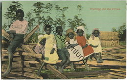 African-Americans - Waiting For The Circus - Black Americana