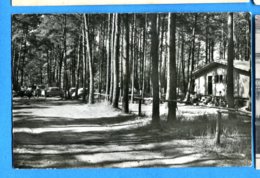 NY761, Pointe D'Yvonand, Camp VD 8, Arrivée Au Camp Et Magasin, 10972, A. Deriaz, Circulée - Yvonand