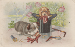 Illustrateurs - Chien - Chiot Griffon - Mode Chapeau Gants Canne - Tabac Allumettes - Vor 1900